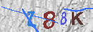 Immagine CAPTCHA